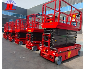 河南全自行升降机